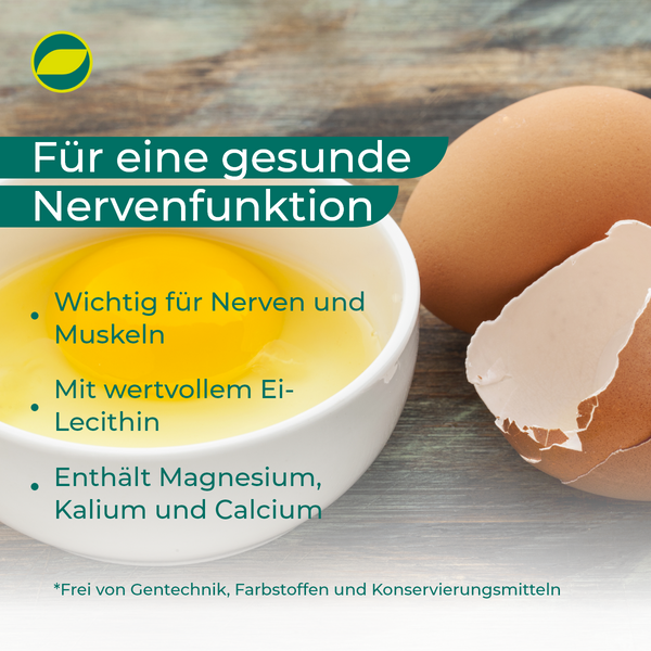 Phosetamin<sup>®</sup> NE Tabletten: Für starke Nerven, gesunde Muskeln und stabilen Blutdruck - 200 Stück